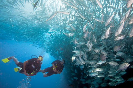 Diving at Sabang Puerto Galera